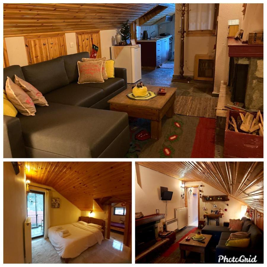 Guesthouse Theodorou Elati  Bagian luar foto