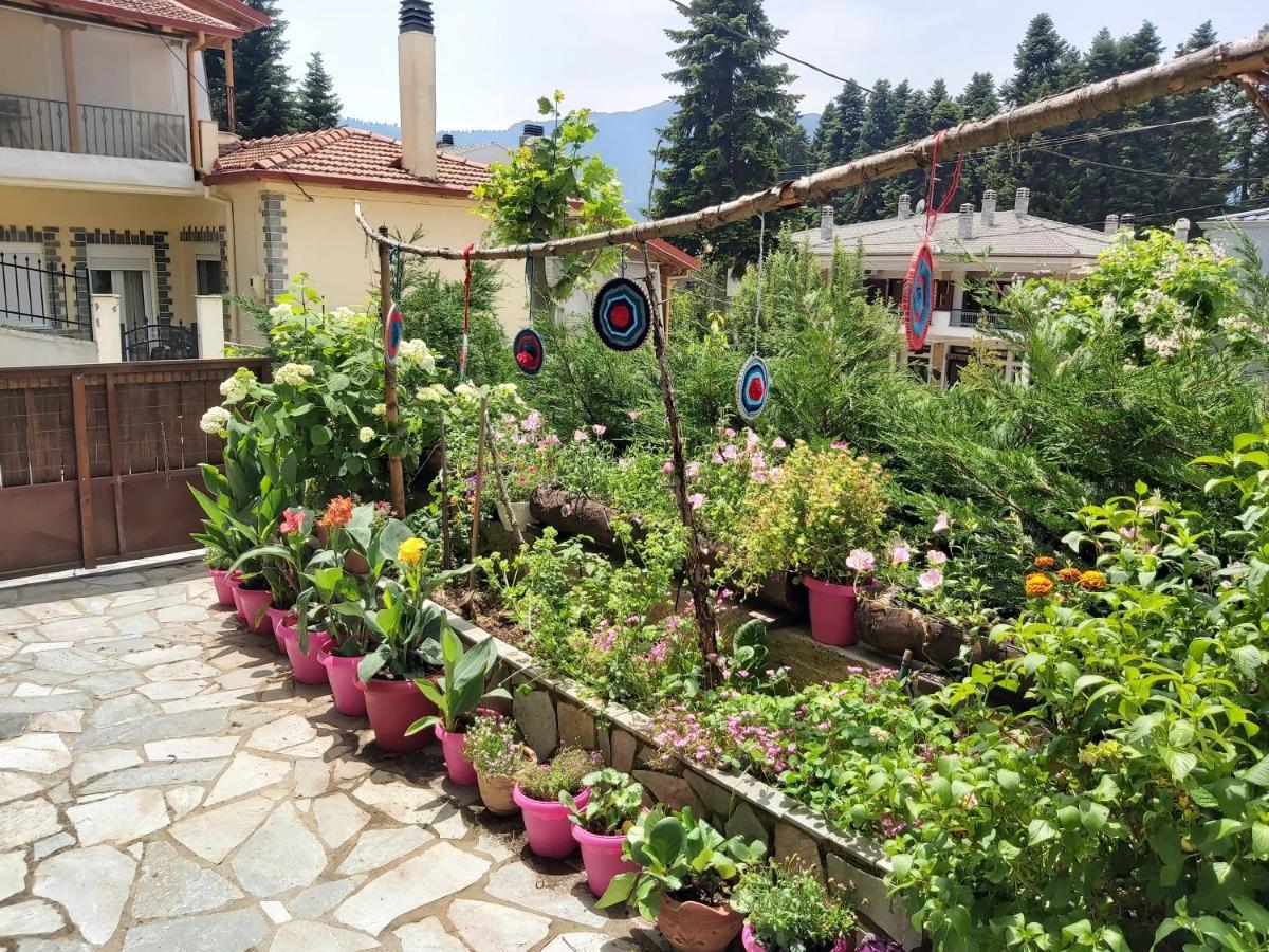 Guesthouse Theodorou Elati  Bagian luar foto