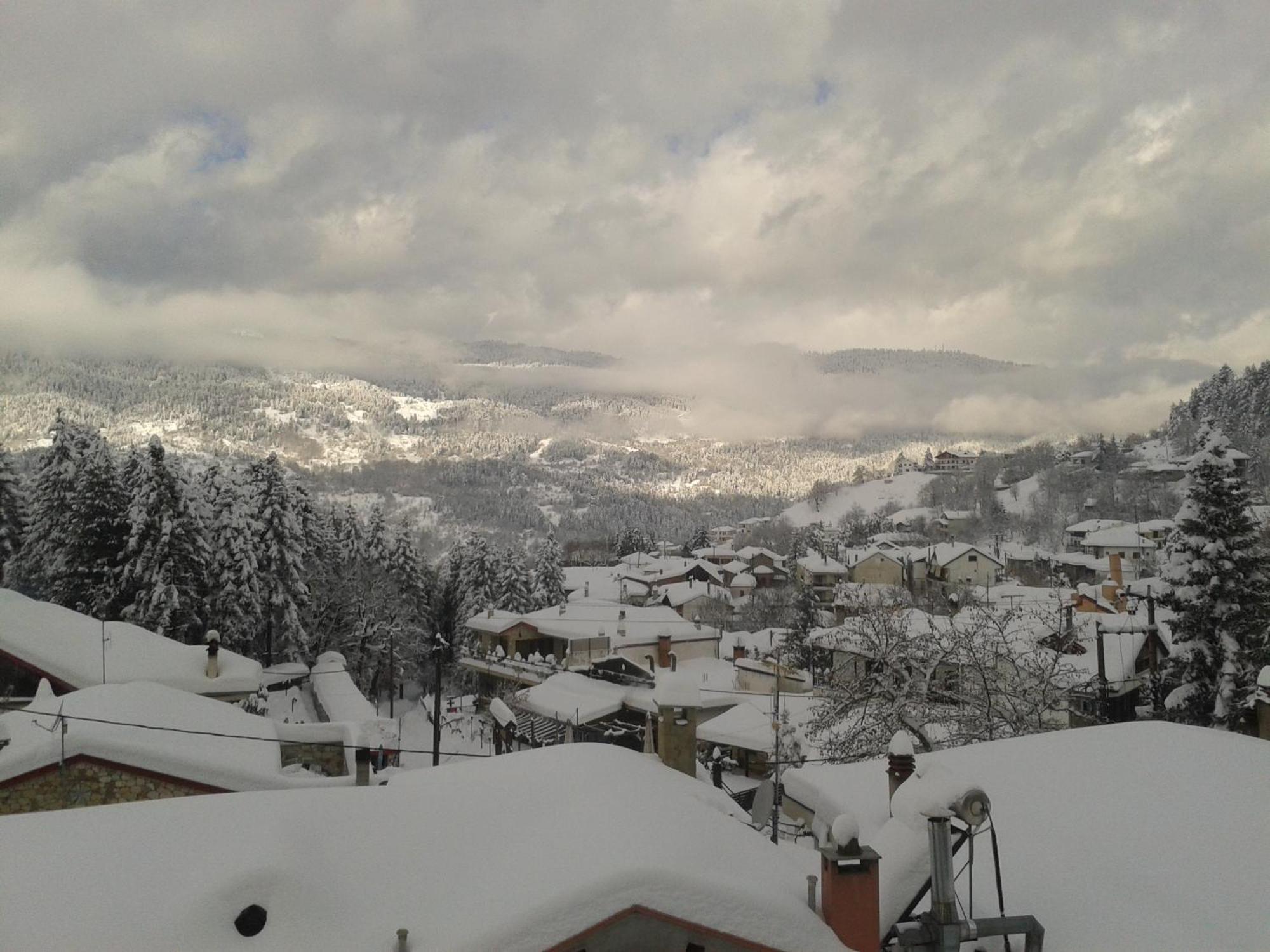 Guesthouse Theodorou Elati  Bagian luar foto