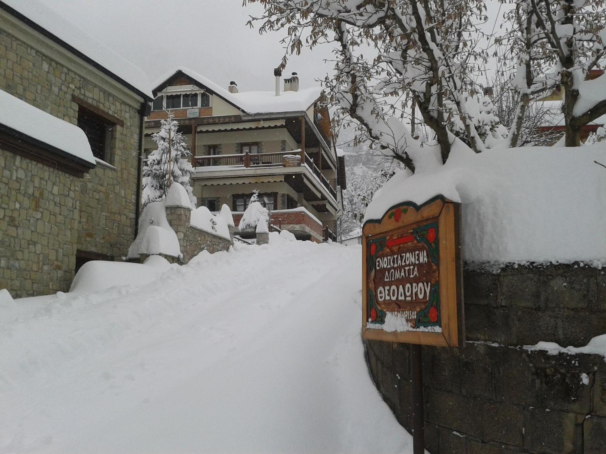 Guesthouse Theodorou Elati  Bagian luar foto