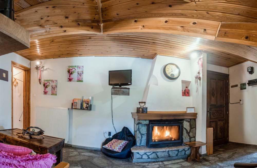 Guesthouse Theodorou Elati  Bagian luar foto