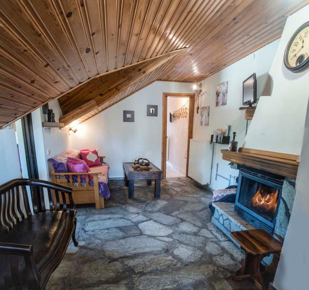 Guesthouse Theodorou Elati  Bagian luar foto